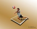 Vollabal0410 